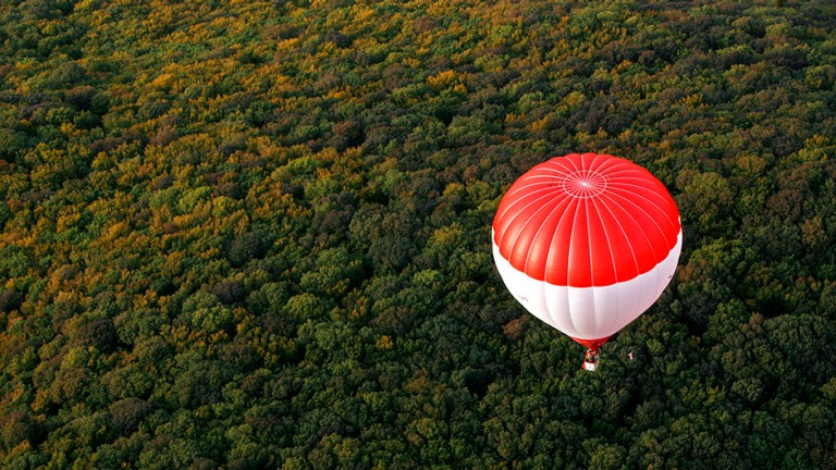Hot air balloon over trees