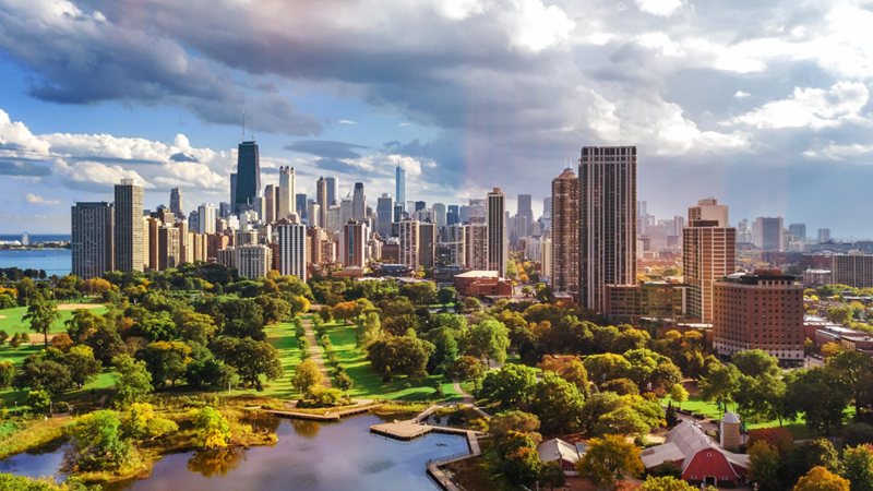 Global Trade Management - truck moving between the trees